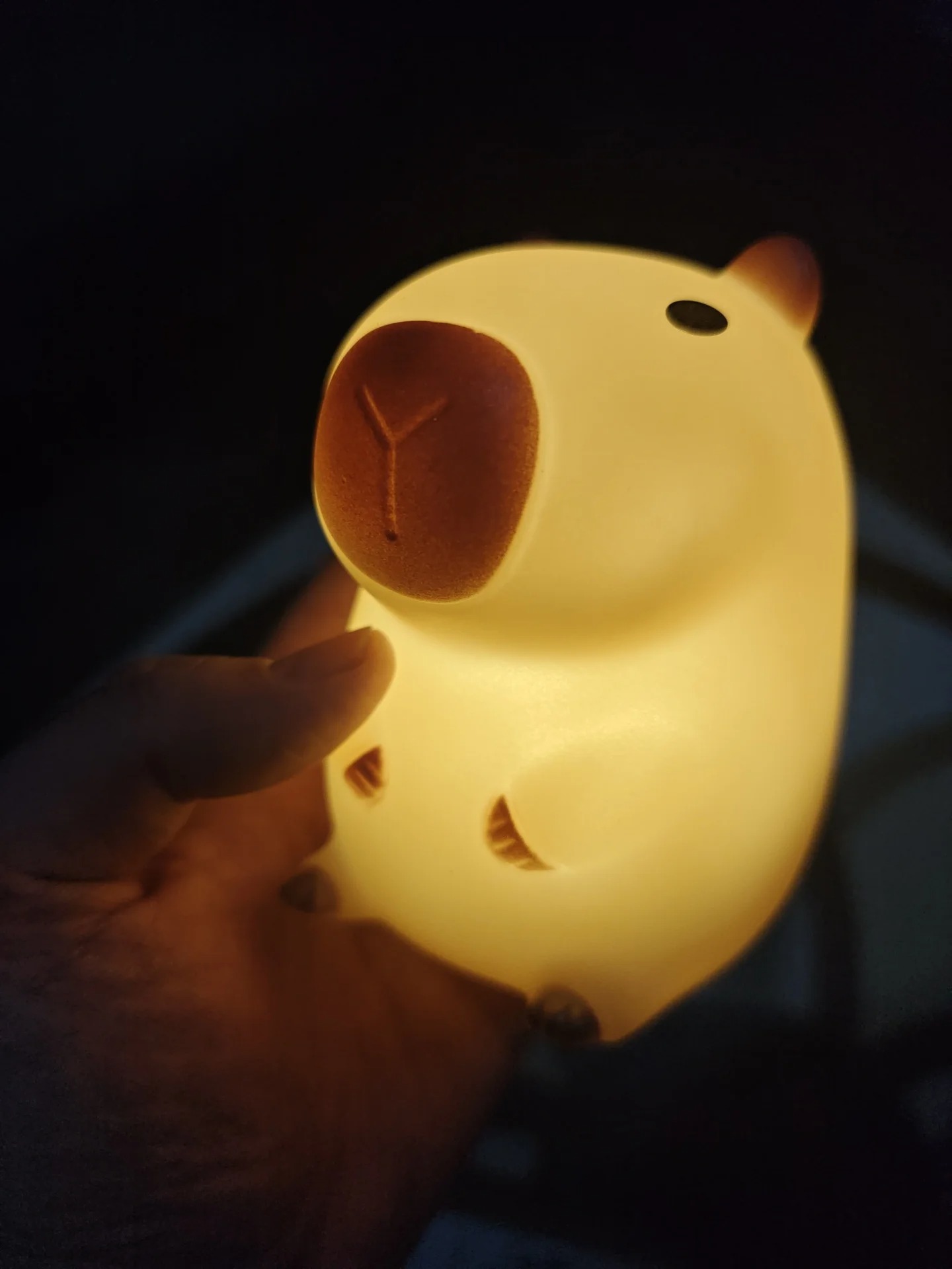 Cute Pet Capybara Night Light  - Decor Lighting Sales 评论和价格